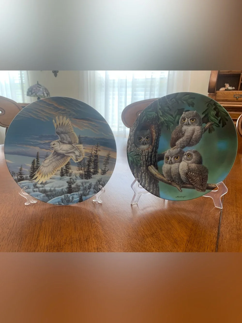 Vintage Owl Plate Lot “Peek-a-Whoo Screech Owls” “Twilight Glow”
